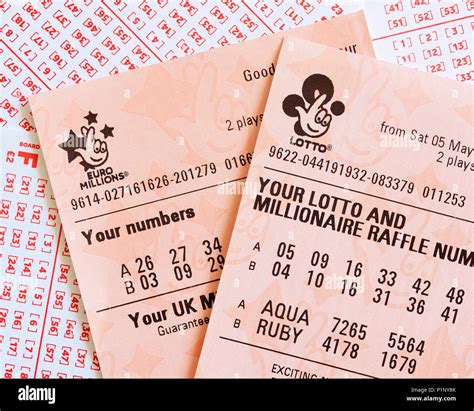 The lottery ticket. Things To Know About The lottery ticket. 